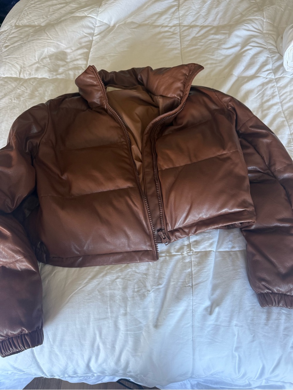 Aritzia Vista Puffer
